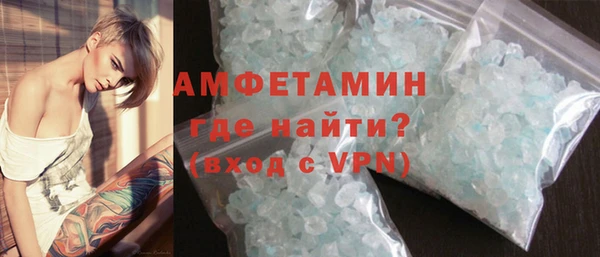 индика Абаза