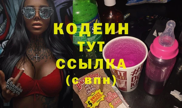 индика Заводоуковск