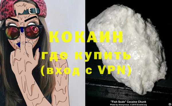 индика Абаза