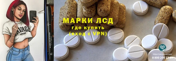 индика Абаза